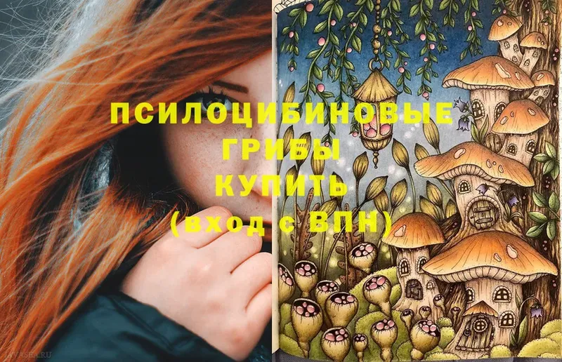 купить наркотик  МЕГА маркетплейс  Псилоцибиновые грибы Psilocybe  Гвардейск 