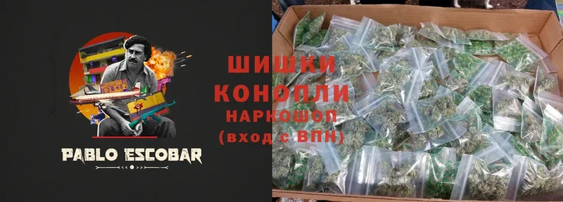 Конопля White Widow  цена   МЕГА онион  Гвардейск 